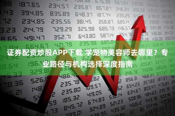 证券配资炒股APP下载 学宠物美容师去哪里？专业路径与机构选择深度指南