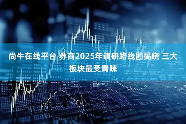 尚牛在线平台 券商2025年调研路线图揭晓 三大板块最受青睐