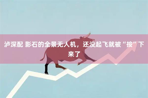 泸深配 影石的全景无人机，还没起飞就被“按”下来了